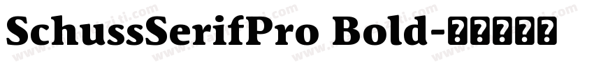 SchussSerifPro Bold字体转换